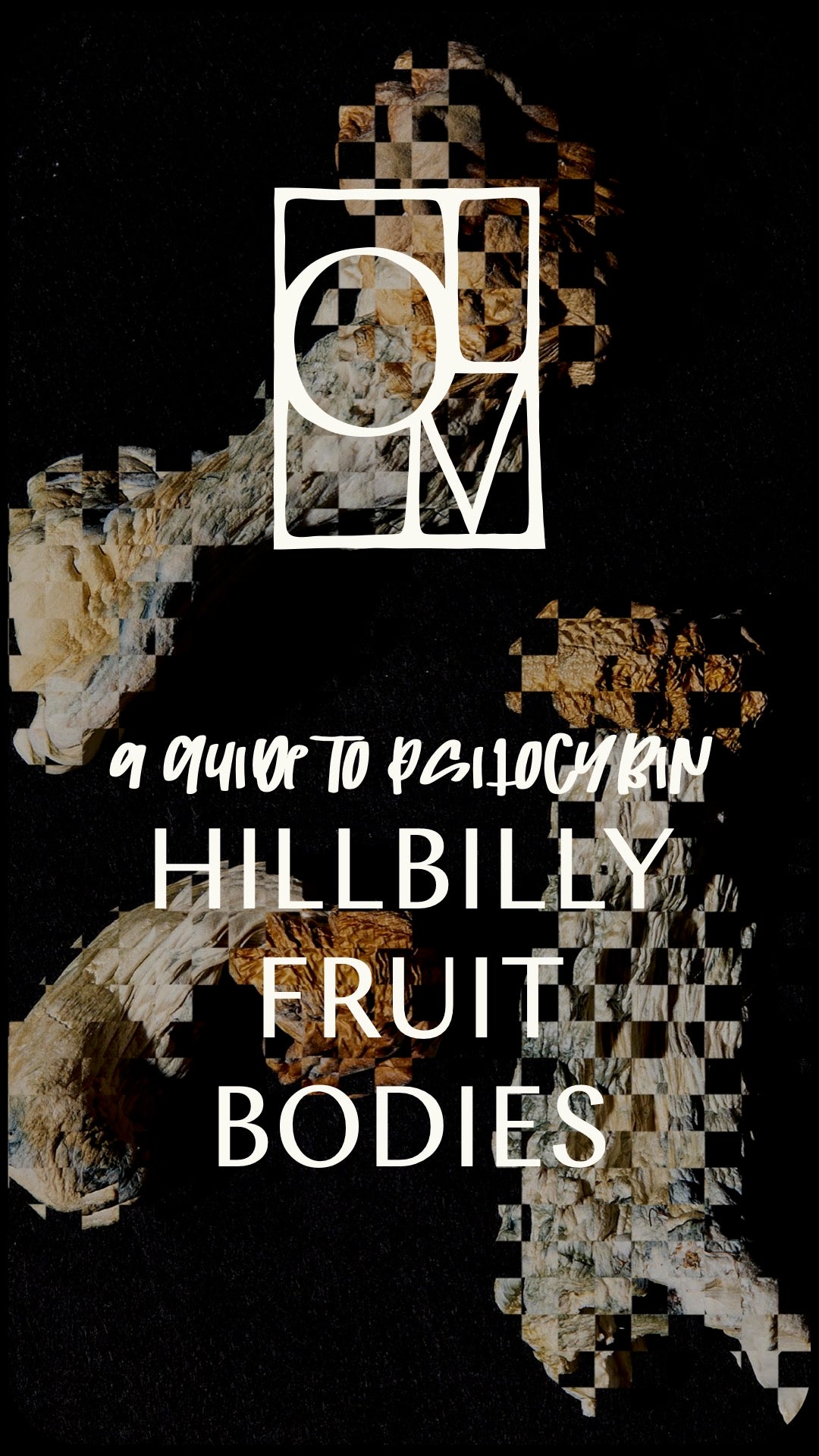 'Hillbilly' Fruit Bodies, Guide +✨GIFT✨